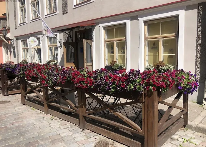 דירה Old Town Apartment, Uus 28