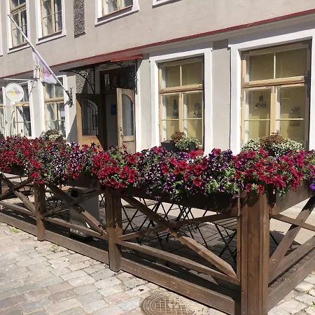 Korter Old Town Apartment, Uus 28